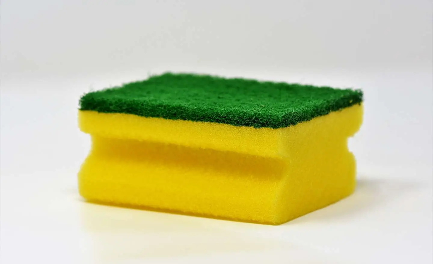 Immagine selezionata