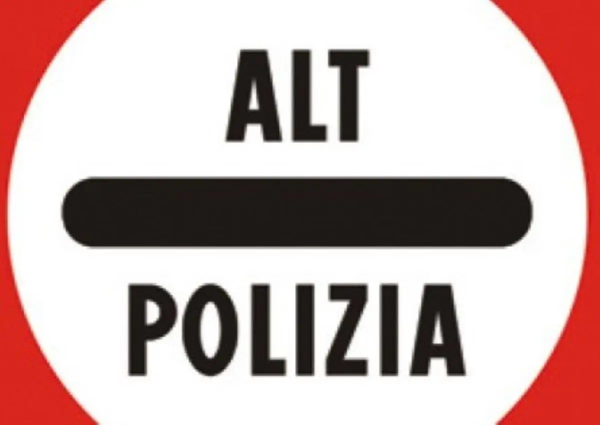 Immagine selezionata